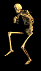 d9a d9a